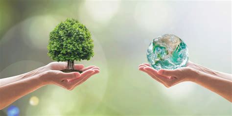 Umwelteinrichtung für erneuerbare natürliche Ressourcen